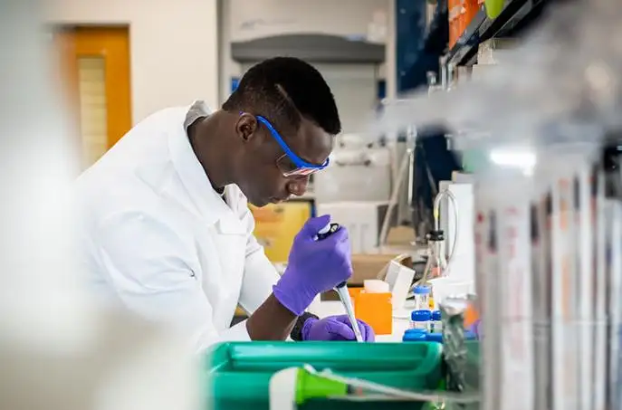 Drug Dissolution Testing